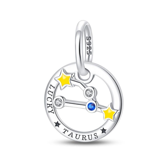Zodiac sign - lucky taurus Charm